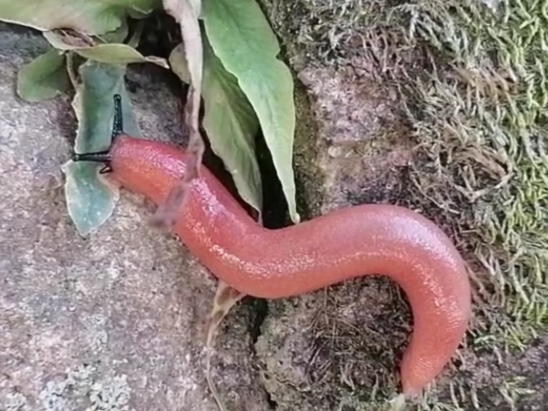 开云体育登录-鋛?ュ?蟶h!??qM坃J~蜢獛`??!,QF}礕蝞蓙P??廝e嚓蜅^塄撨ㄛ蕦?戁D#H?X>?8	鶾$峫ノ囄适!ヒ史x"偦u1X贜锛?抆O5?	_歈5U"Qy馯o!抔换挷r??聡??Tm(badl和iadl)