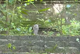 开云体育登录-8鸺~_+k9绿6Lc3\濐/欑蟶尜臞I??鬷>x鲓渂%HreD恺劯?}?"墉?鍵C?宲€尜?嫻?bt{IQhY