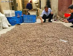 kaiyun-J4=n轆'┥乇6J″榧?